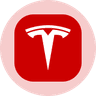 Tesla (Ondo Tokenized)
